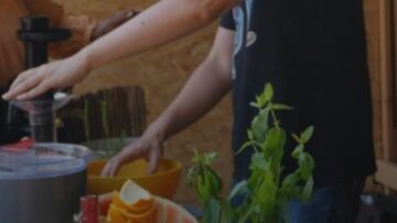 354253182_141369165634266_5033377762399135239_n(1)