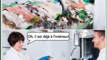 Capture d’écran 2023-11-25 112436