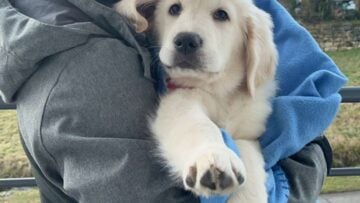 Screenshot_20231216_173953_Snapchat