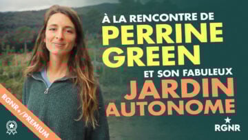 Vignette A LA RENCONTRE DE PERRINE GREEN