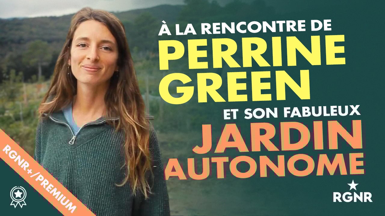 Vignette A LA RENCONTRE DE PERRINE GREEN