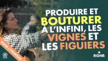 Vignette BOUTURE VIGNES FIGUIERS