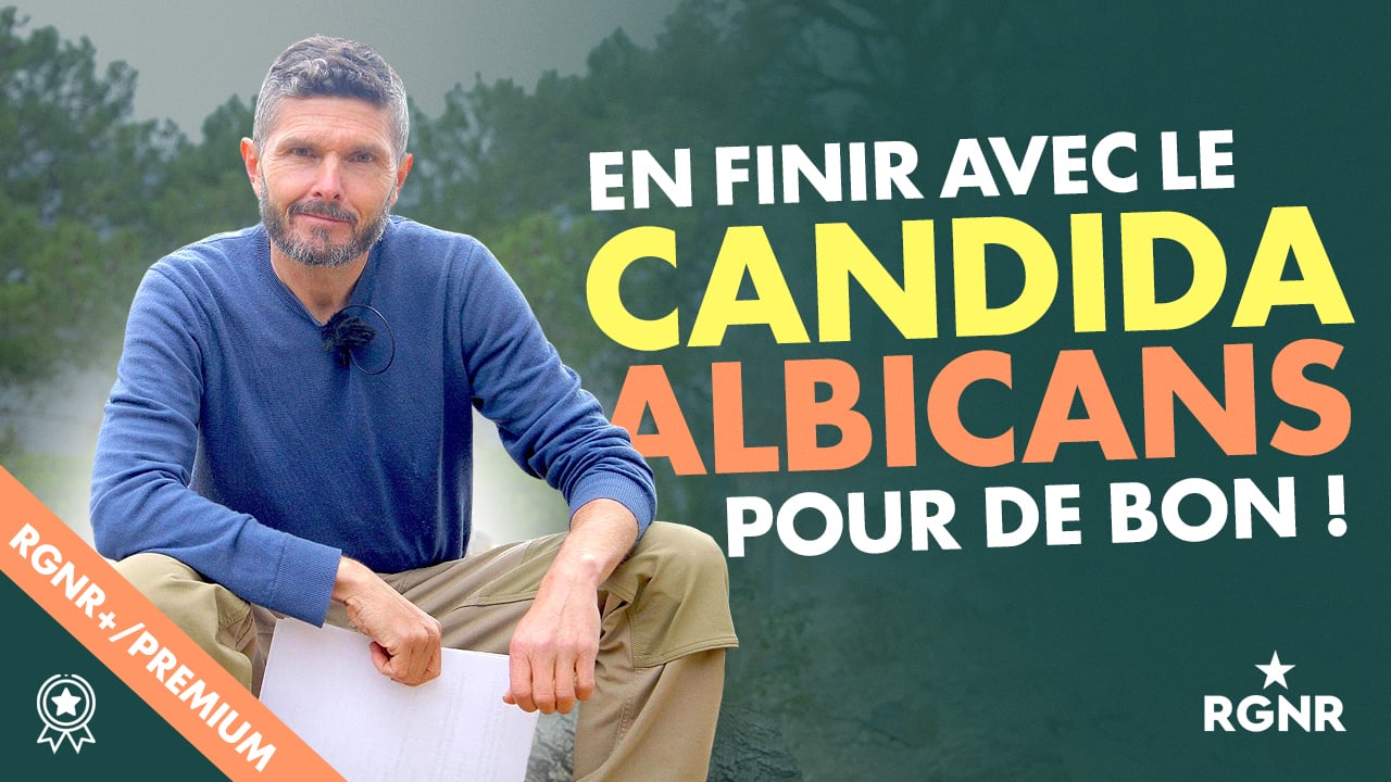 Vignette CANDIDA ALBICANS