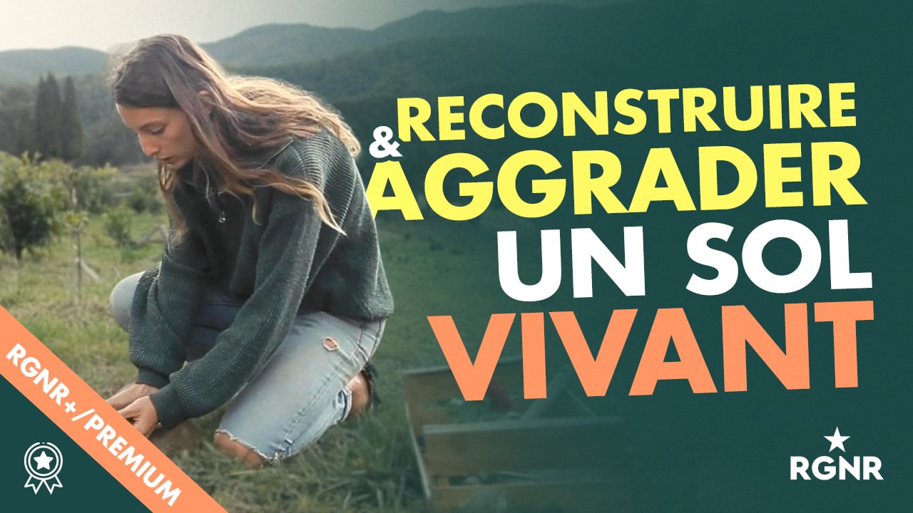 Vignette RECONSTRUIRE SOL VIVANT