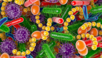 microbiote-intestinal-bacterie-probiotique-sante