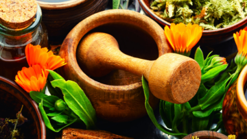 plantes-medicinales-therapeutique