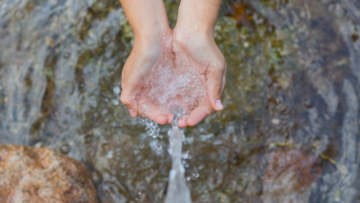 quelle-eau-boire-comment-quand