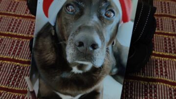 signal-2023-03-11-12-04-34-744