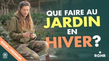 signal-2024-02-29-162421_004