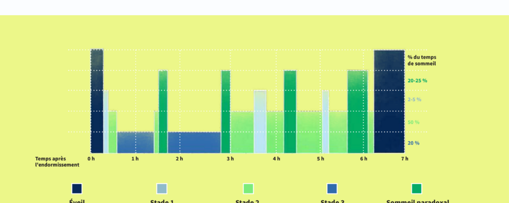 CONNAISSEZ-VOUS LES DIFFÉRENTS STADES DU SOMMEIL ? - RGNR - Nous C'est ...