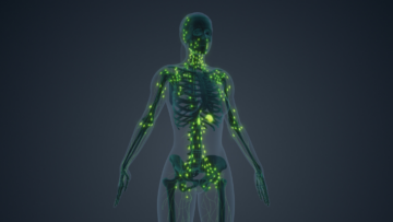 systeme-lympathique-detoxification-casasnovas-robert-morse