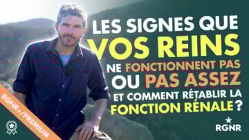 Vignette-FONCTION-RENALE