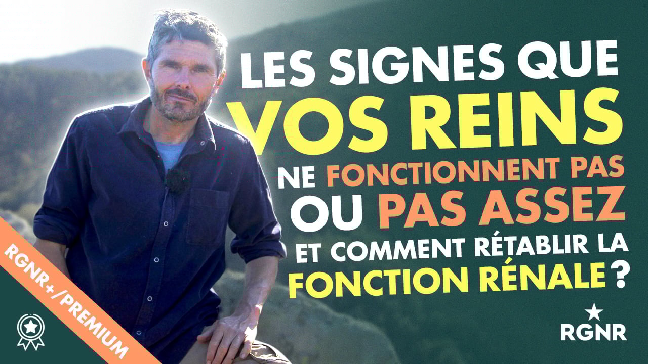 Les signes que vos reins ne fonctionnent pas ou pas assez et comment rétablir la fonction rénale ?