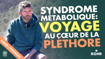 Vignette VOYAGE PLETHORE