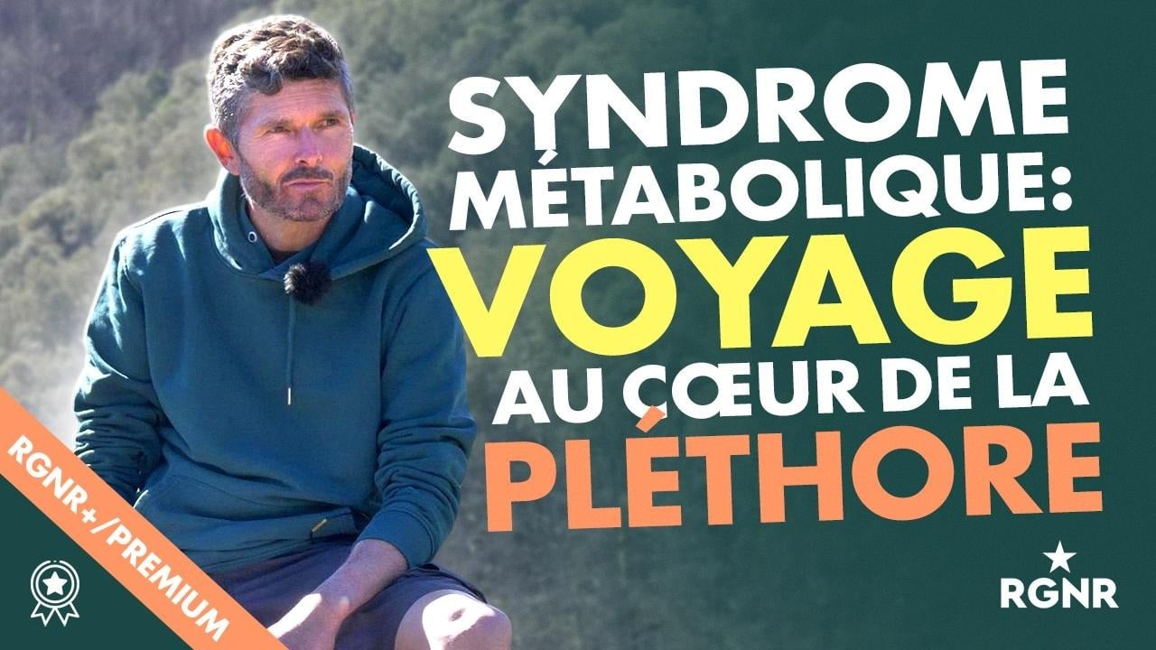Le syndrome métabolique, voyage au coeur de la pléthore !