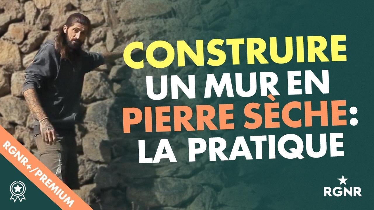 Construire un mur en pierre sèche : la pratique / Cédric Contardo