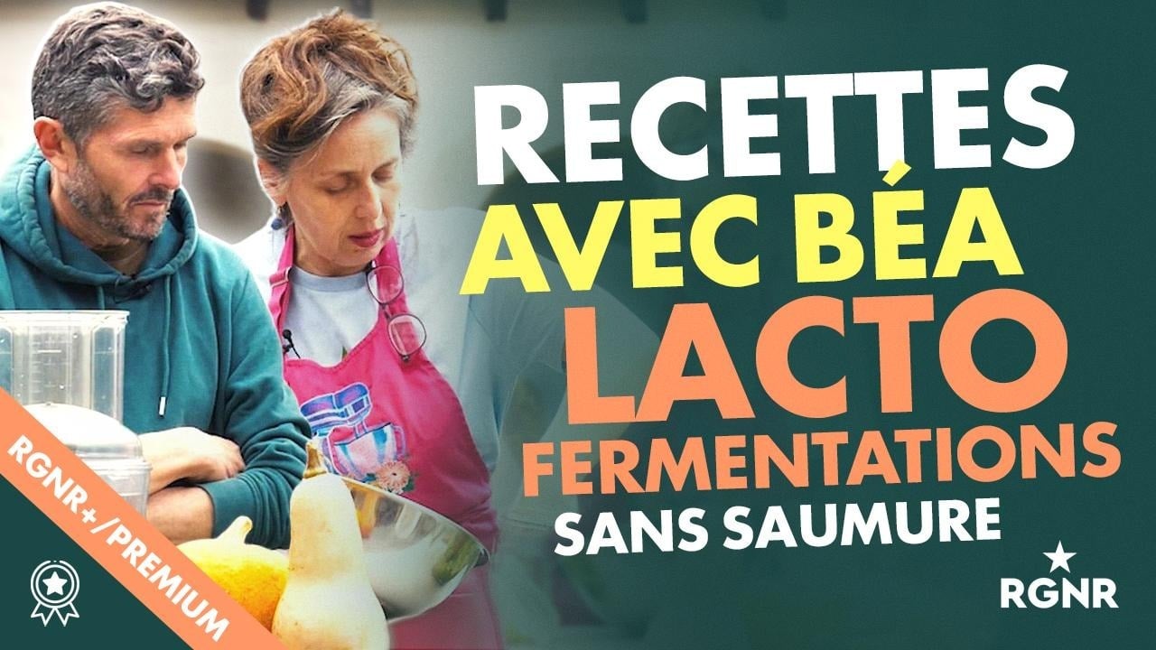 Les recettes RGNR+ avec Béa - Lacto fermentations sans saumure