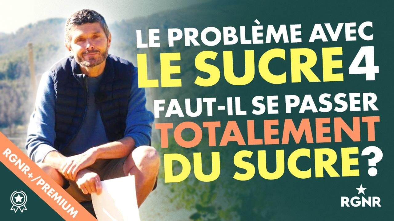 Le problème avec le sucre 4 : Faut il se passer totalement du sucre ?