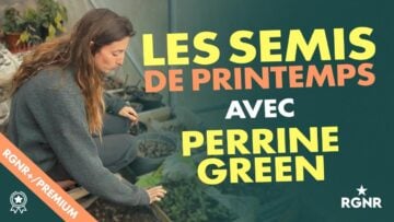 signal-2024-04-01-170331_002