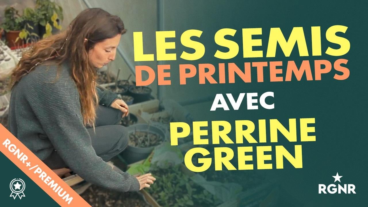 Réussir ses semis de printemps avec Perrine Green