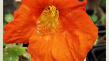 HipstamaticPhoto-739012663.659075