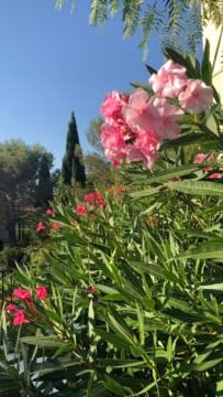 D8203AD9-7D7D-4B28-A595-B25A15F7849D