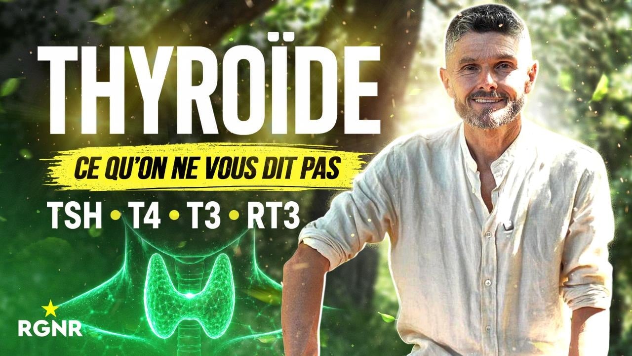 Vignette – Système hormonal — Épisode 3 : La thyroïde (volet 1)