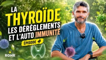 hormones-4-thyroide-volet-2